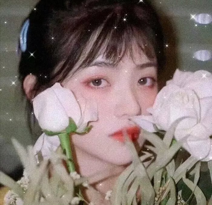 惊骇 封面